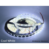 Bande a led 5M etanche 12V (blanc froid)