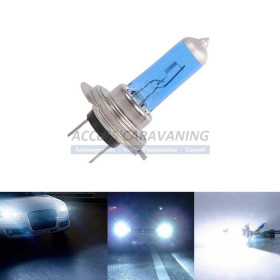 Ampoule H7 - 100W - 12V
