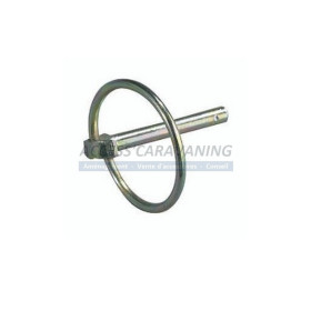 Goupille clips