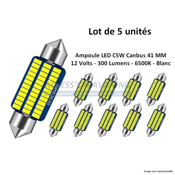 Lot de 5 ampoules Leds 41 mm - anti erreur - Blanc